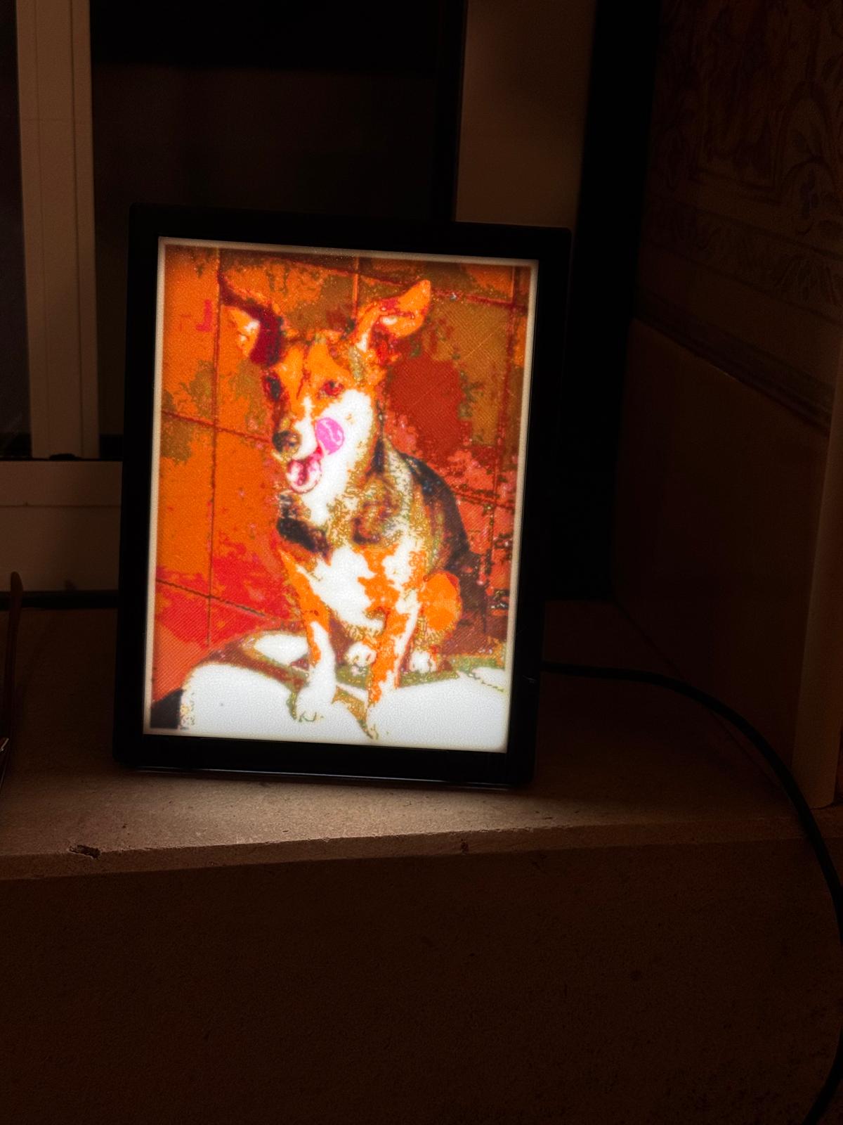 Quadro Foto 3D Iluminado